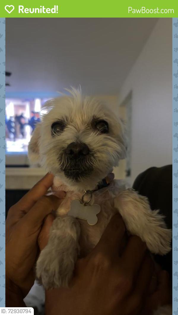 Reunited Female Dog last seen Ocean View hills pkwy, Palm Ave, San Diego, CA 92154