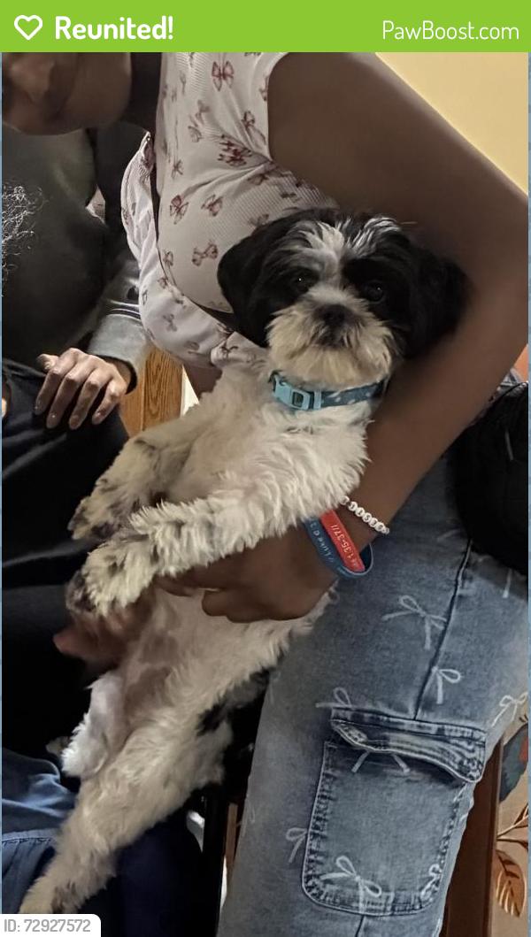 Reunited Female Dog last seen Near 52nd and W Capitol Drive, Milwaukee, WI 53216