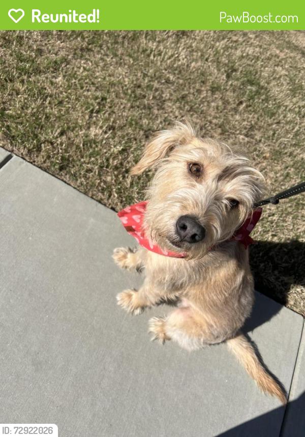 Reunited Male Dog last seen Hwy 36, Barnesville, GA 30204