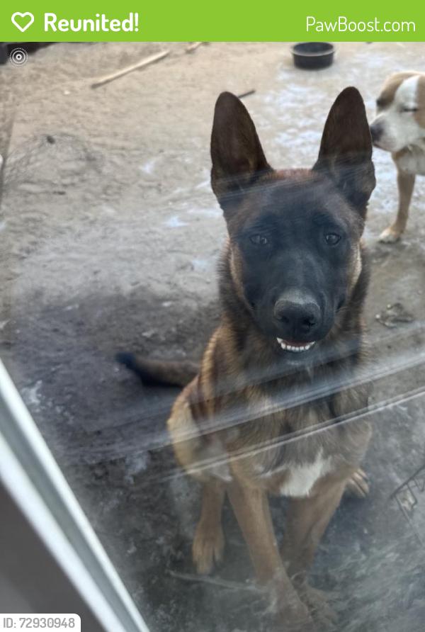 Reunited Male Dog last seen 4th street , Upland, CA 91785