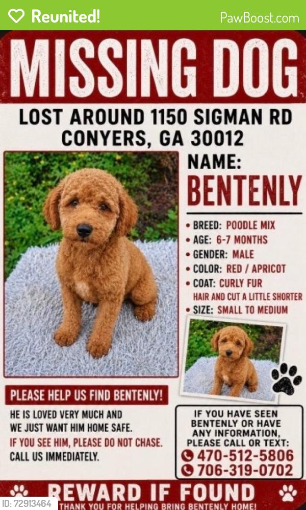 Reunited Male Dog last seen Near sigman rd ne and Hwy 20 , Conyers, GA 30012