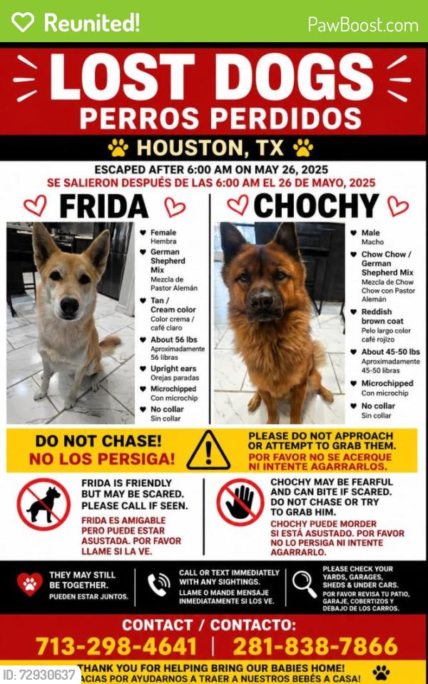 Reunited Male Dog last seen Ethel St and N. Wayside Dr 77028  , Houston, TX 77028