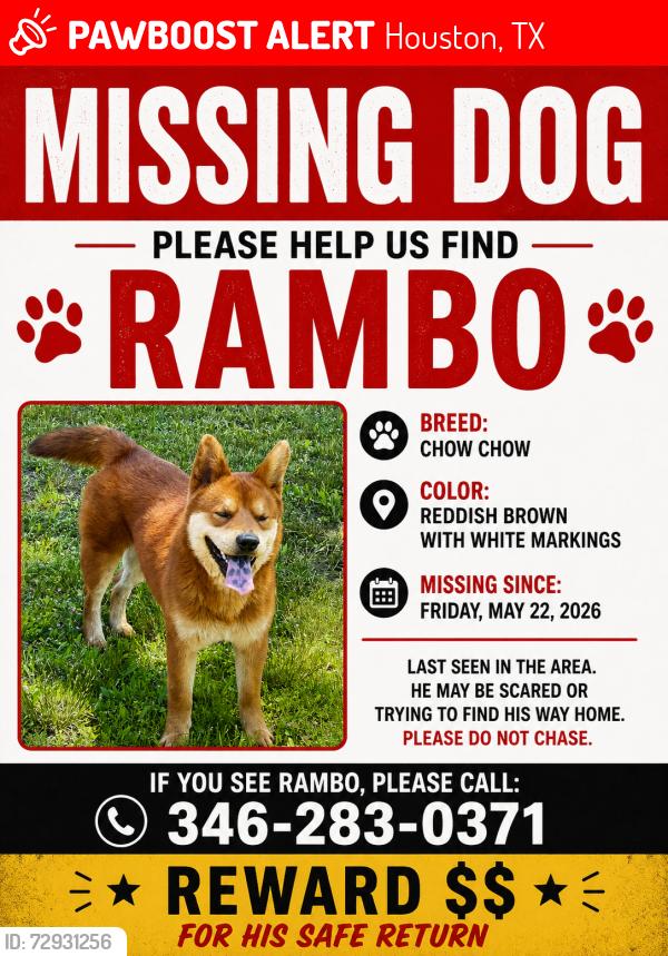Lost Male Dog last seen Beechnut , Houston, TX 77072