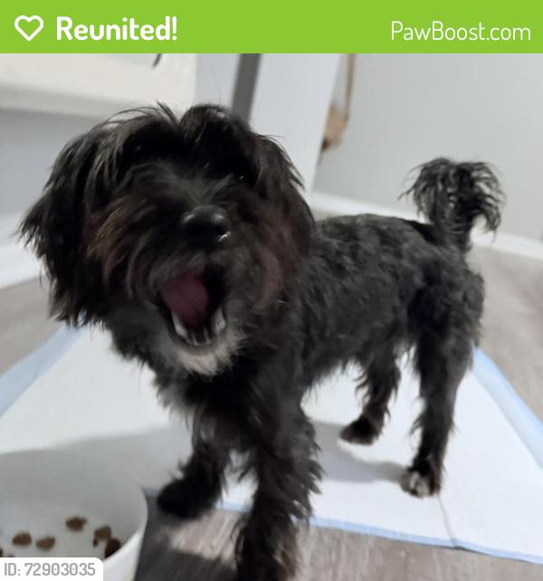 Reunited Male Dog last seen The midway apmts, Waco, TX 76710
