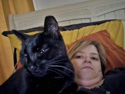 Reunited Male Cat last seen Knoxville College, Knoxville, TN 37921
