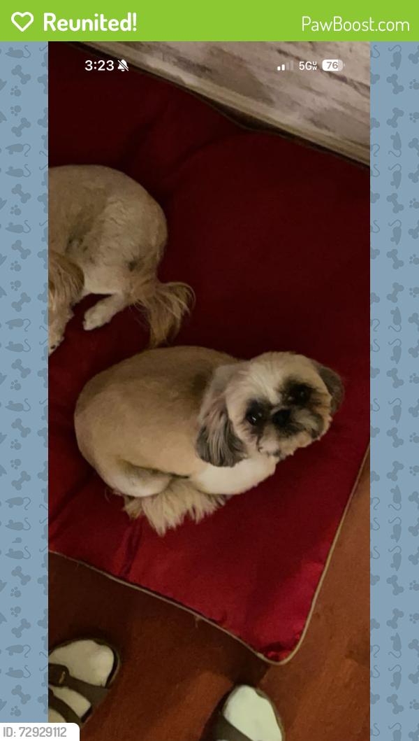 Reunited Female Dog last seen Glendale Ave and Summit St or Mason St, Appleton, WI 54914