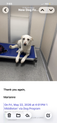 Reunited Male Dog last seen Near empire ave , Park City, UT 84060