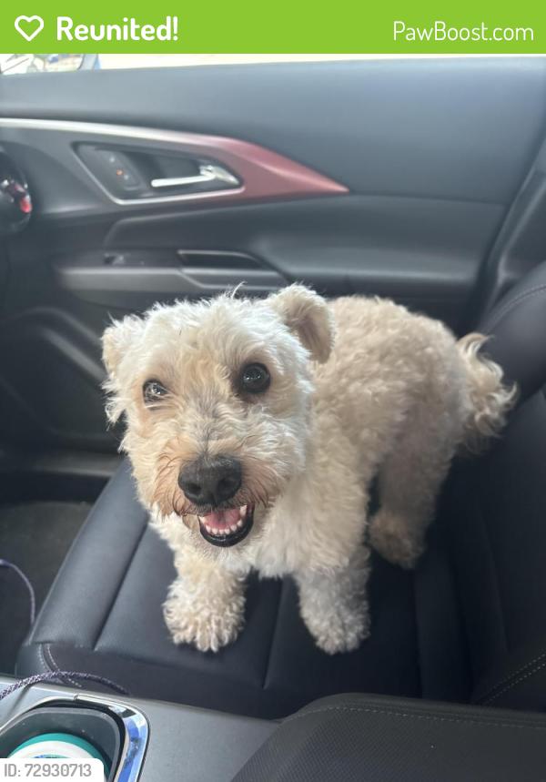 Reunited Male Dog last seen Fort Worth, Fort Worth, TX 76102