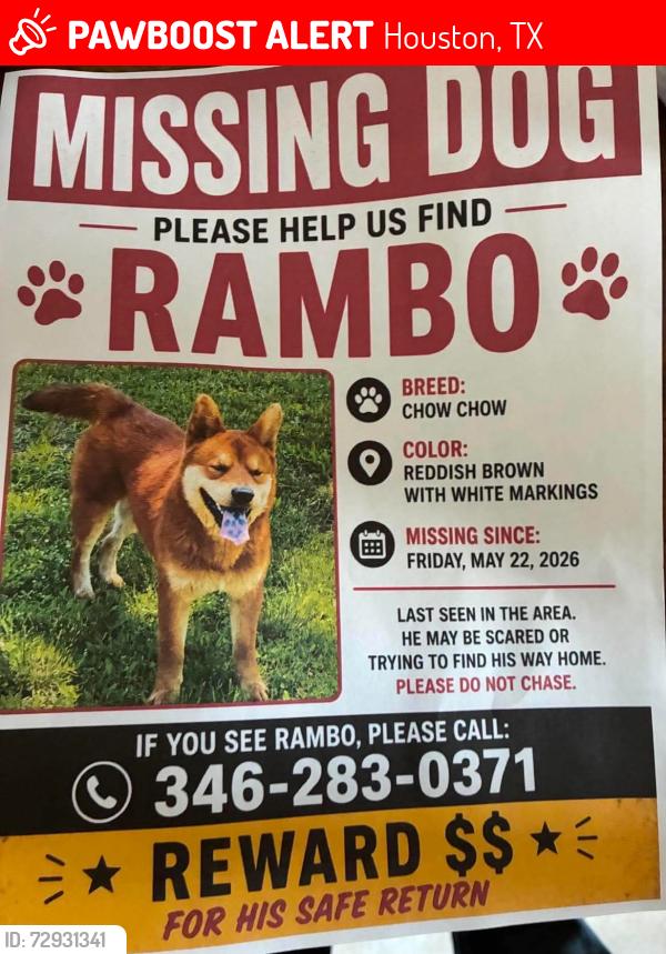 Lost Male Dog last seen Bellaire and turtle wood , Houston, TX 77072