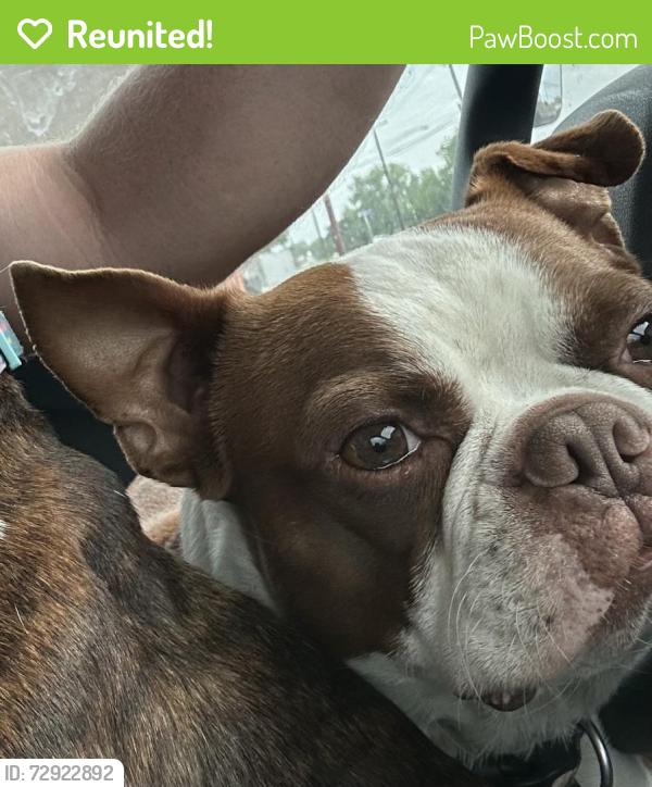Reunited Male Dog last seen Boca Raton & Timberview Ct S, Fort Worth, TX 76112