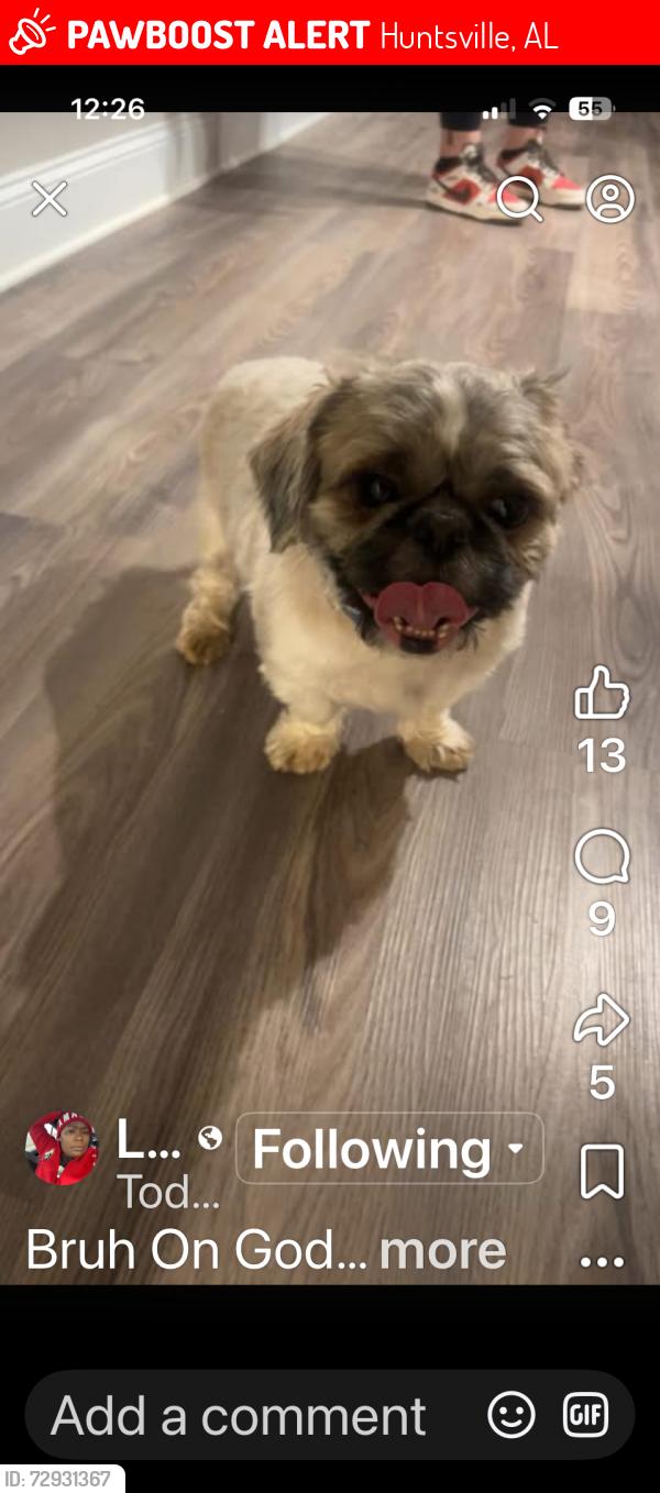 Lost Male Dog last seen Sprint branch apmts , Huntsville, AL 35805