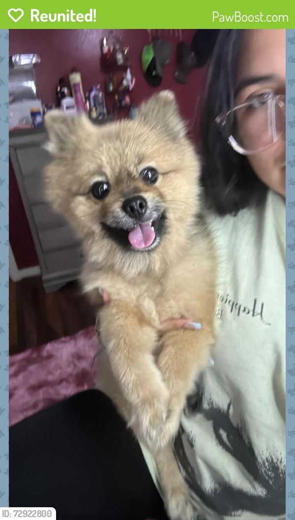 Reunited Male Dog last seen Near Kimble St, Houston, TX 77017