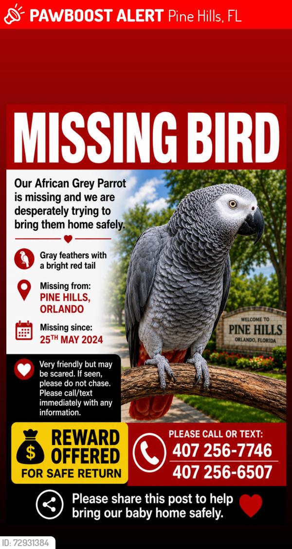 Lost Unknown Bird last seen Tam drive, Pine Hills, FL 32808