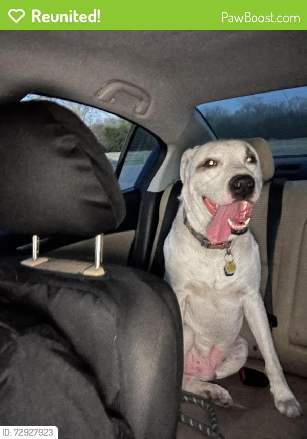 Reunited Male Dog last seen S Terrace Dr, Wichita, KS 67218, USA, Wichita, KS 67218