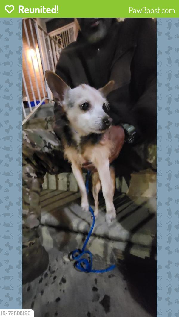 Reunited Unknown Dog last seen 24th and Hagert Sts, Philadelphia, PA 19132