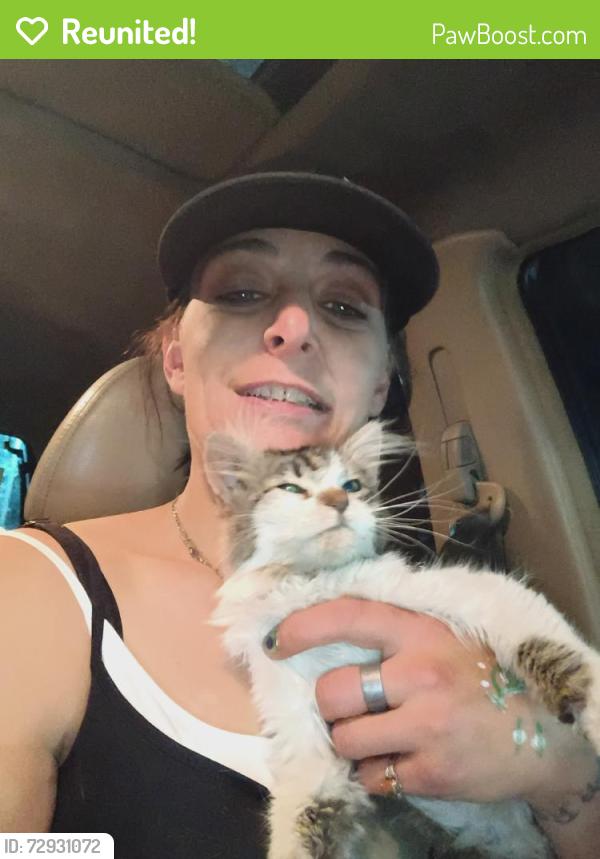 Reunited Male Cat last seen Near s West temple, Salt Lake City, UT 84115