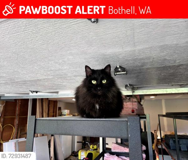 Lost Female Other last seen 51st & 169th, Bothell, WA 98012