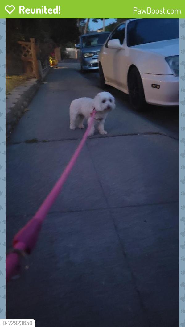 Reunited Unknown Dog last seen Thornally ave., San Leandro, CA 94578