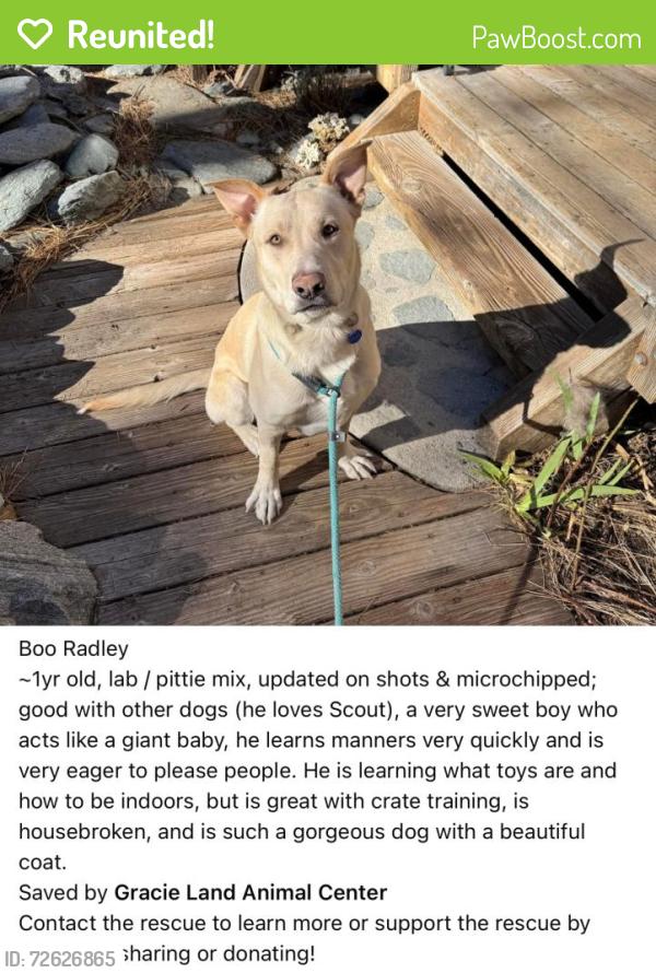 Reunited Male Dog last seen Dog park, Anaheim, CA 92804