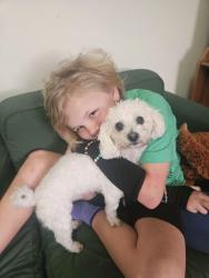 Reunited Male Dog last seen Near 31st St richmond , Richmond, CA 94804