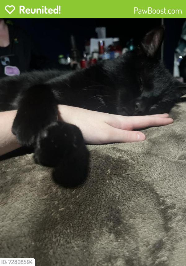 Reunited Male Cat last seen Maple road, Maple, NC 27956