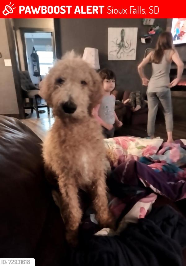 Lost Male Dog last seen W 33rd Street and Hawthorne Avenue, Sioux Falls, SD 57105