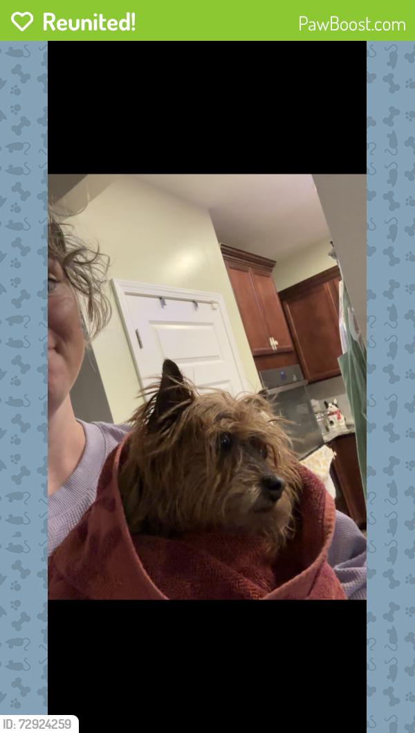 Reunited Female Dog last seen Hwy 302 near ashbury kneece lane , Lexington County, SC 29073