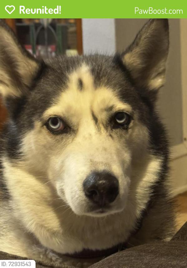 Reunited Female Dog last seen Hayden & Vliet, Milwaukee, WI 53208