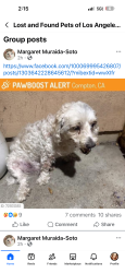 Reunited Male Dog last seen Compton, CA, USA, Compton, CA 90220