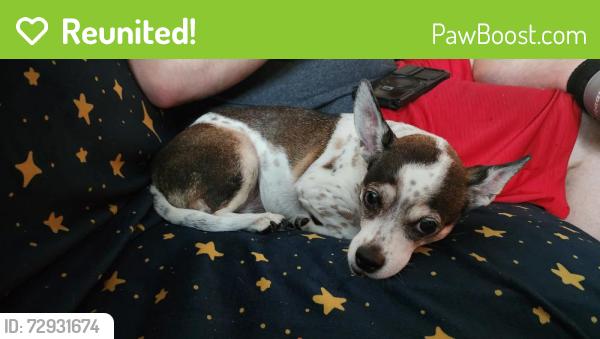 Reunited Female Dog last seen Texas Spur and Bowie Ridge, Navarro Ranch, Seguin, TX 78155