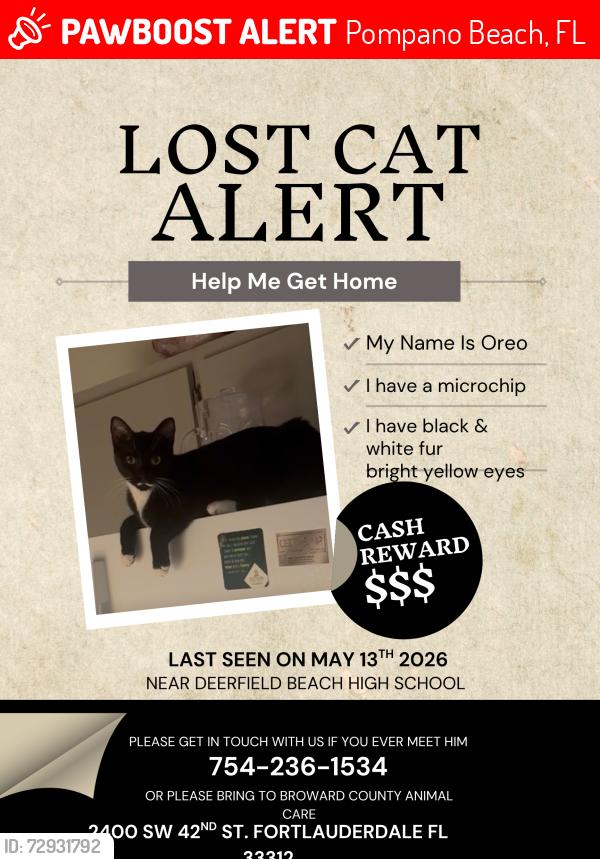 Lost Male Cat last seen Deerfield beach high school , Pompano Beach, FL 33064