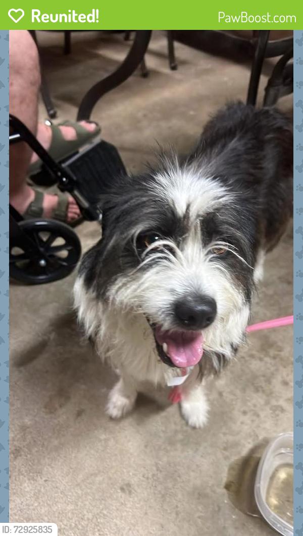 Reunited Male Dog last seen Harriet Lane and East Ave N, Battle Creek, MI 49017