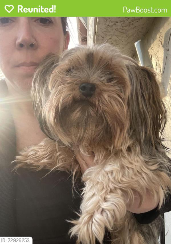 Reunited Female Dog last seen Gendreau ave, Winnipeg, MB R3V 1C9
