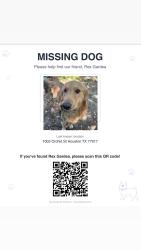 Reunited Male Dog last seen Near orchid st , Houston, TX 77017