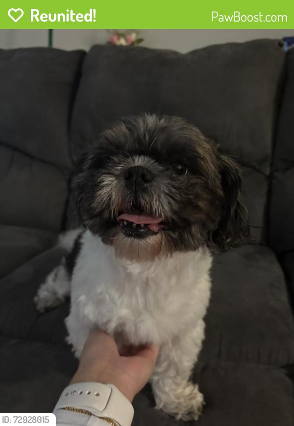 Reunited Female Dog last seen Pelleaux Rd and E Emory Rd, Knoxville, TN 37918