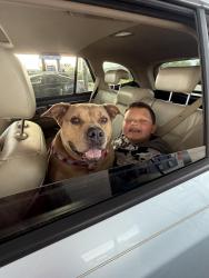 Lost Female Dog last seen West Case and Godown Rd, Columbus, OH 43235