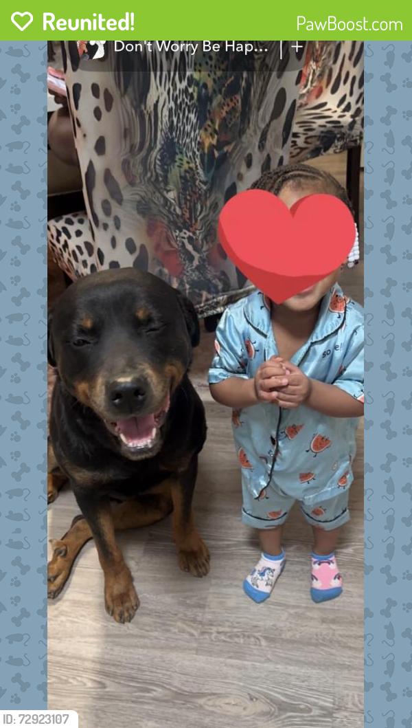 Reunited Male Dog last seen Happy Vallet Church Rd, Dallas, GA 30157