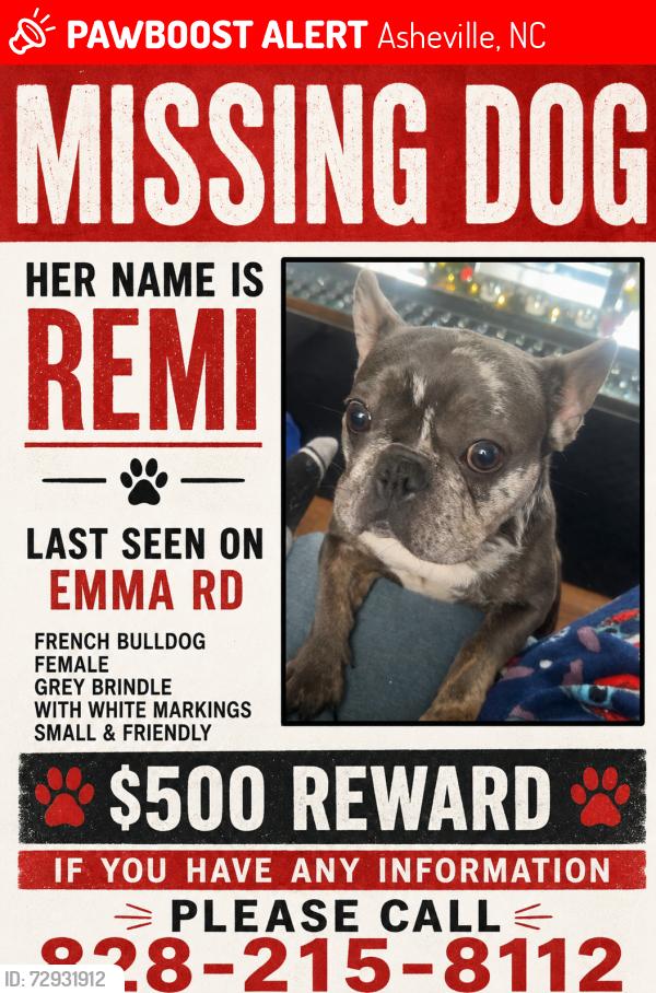 Lost Female Dog last seen Emma rd , Asheville, NC 28806
