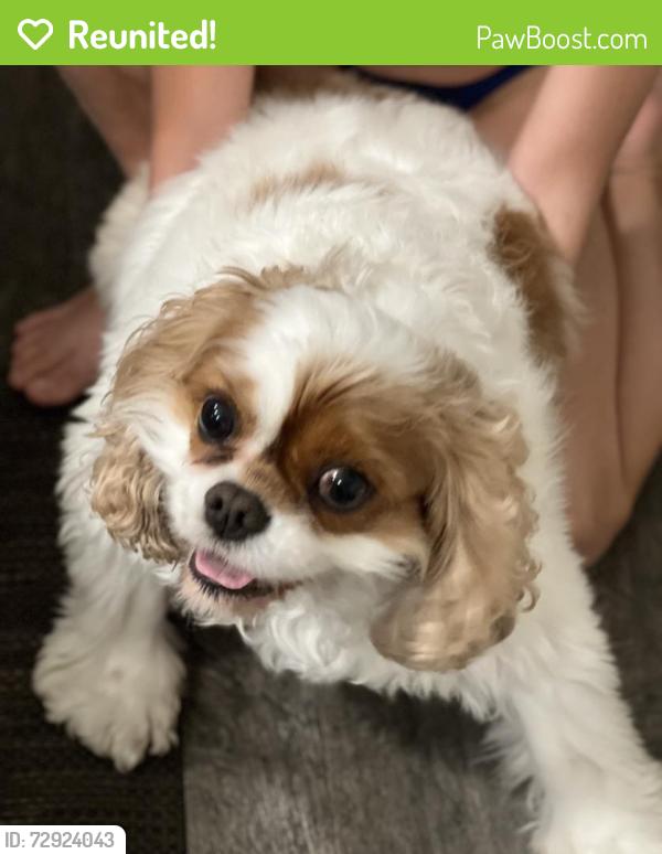 Reunited Female Dog last seen Oxbow Cove neighborhood off of Oxbow Creek Dr., Brooklyn Park, MN 55445