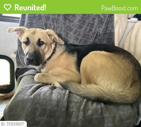 Reunited Male Cat last seen Oliver road and Stewart road, Zephyrhills, FL 33540