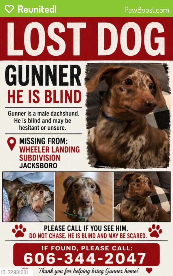 Reunited Male Dog last seen Near Far View Cir, Jacksboro, TN 37757, USA, Jacksboro, TN 37757