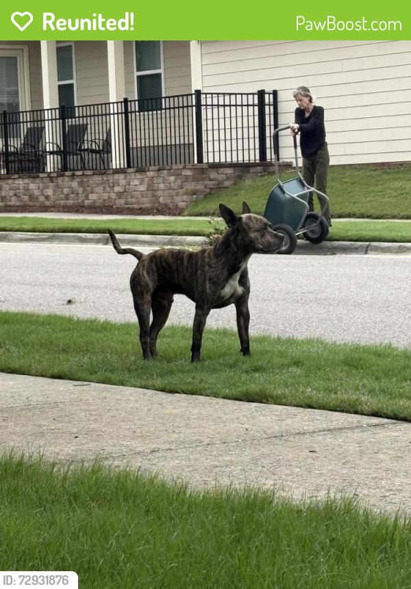 Reunited Male Dog last seen Boxcar and Marker running down boxcar, Apex, NC 27502