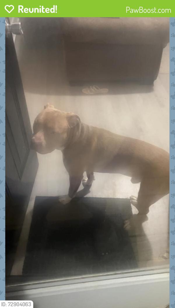 Reunited Male Dog last seen Seabrook Rd, Fayetteville, NC 28311