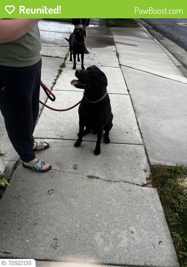 Reunited Male Dog last seen 7000S 3200 W, West Jordan, UT 84084