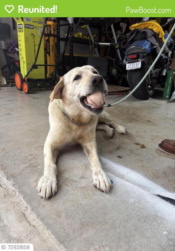 Reunited Male Dog last seen Tehama ridge parkway and presido vista drive , Fort Worth, TX 76177