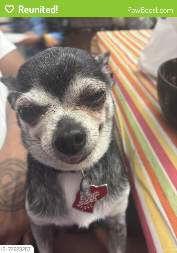Reunited Male Dog last seen 5th and bates Ave , Saint Paul, MN 55106