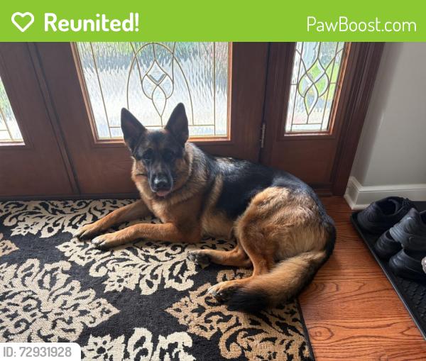 Reunited Male Dog last seen Fairview Church, North side of Marsh Creek Lake, Close to turnpike and 100, Glenmoore, PA 19343