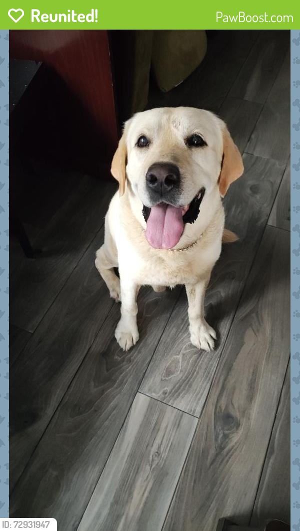 Reunited Male Dog last seen Tehama ridge and Loreto dr., Fort Worth, TX 76177