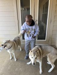 Reunited Female Dog last seen Near viewpoint lane burleson , Burleson, TX 76028
