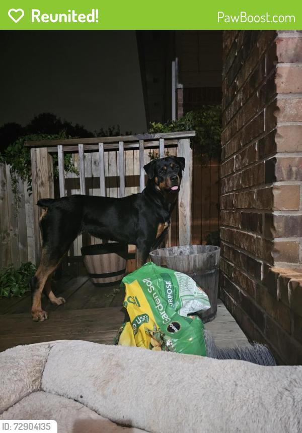 Reunited Female Dog last seen Hefner and MacArthur , Oklahoma City, OK 73132
